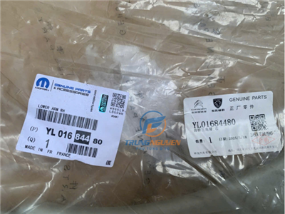 YL01684480