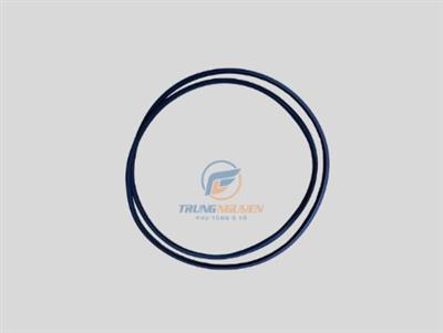 Gioăng kính cửa nóc xe - TK8069825