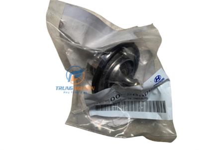 Van hằng nhiệt Cerato,Forte,Carens,I30 - 255002B000