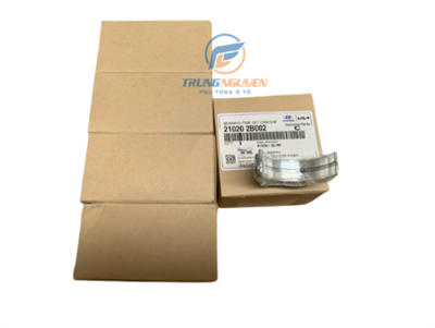 Bạc balie/Bạc trục khuỷu STD K3,Accent,I30,Elantra,Creta,Veloster - 210202B002