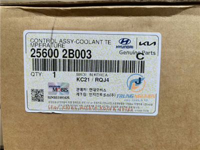 256002B003