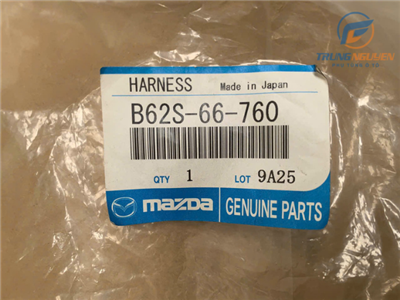 B62S66760