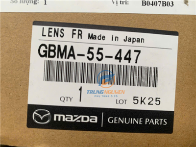 GBMA55447