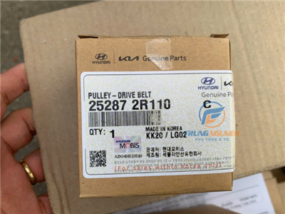 252872R110